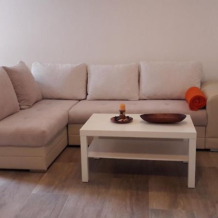 Apartment Nena- Apartman Sa Posebnim Ulazom U Prizemlju, Terasom I Zelenom Okucnicom Rakotule Экстерьер фото