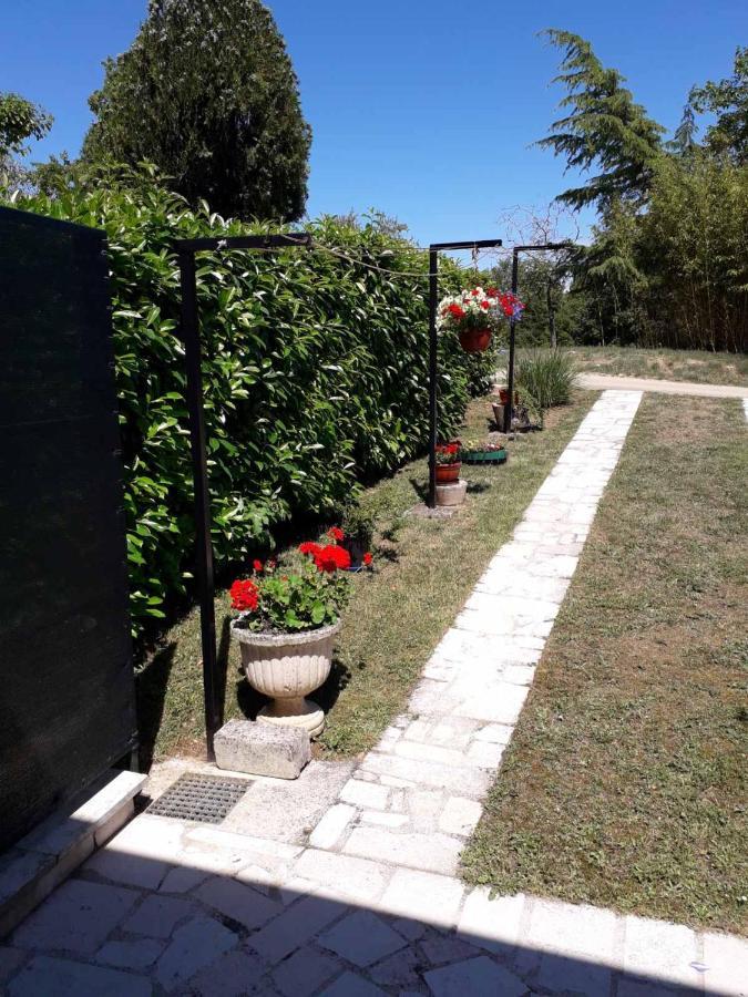 Apartment Nena- Apartman Sa Posebnim Ulazom U Prizemlju, Terasom I Zelenom Okucnicom Rakotule Экстерьер фото