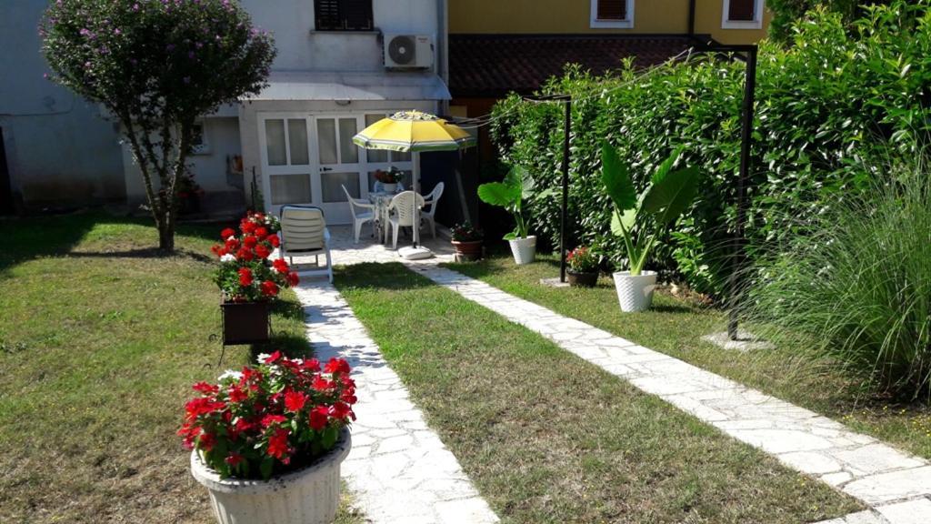 Apartment Nena- Apartman Sa Posebnim Ulazom U Prizemlju, Terasom I Zelenom Okucnicom Rakotule Экстерьер фото